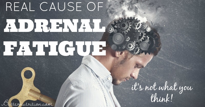 The REAL cause of Adrenal Fatigue Symptoms- it's NOT what you think! | Butter Nutrition