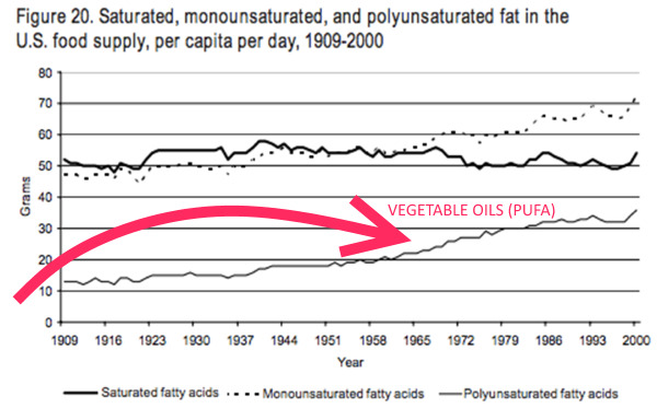 PUFA fats increasing