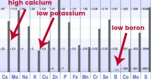 What Vitamin D Supplements Do To Your Mineral Levels {hint: it's not good}