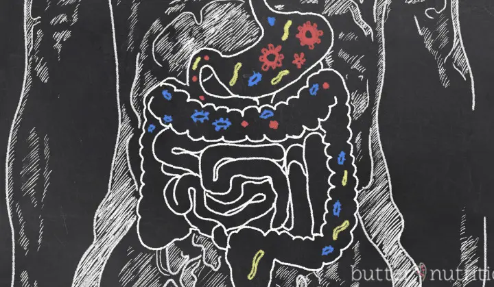 How To Fix Your Gut | Butter Nutrition