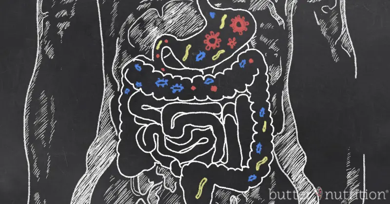 How To Fix Your Gut | Butter Nutrition