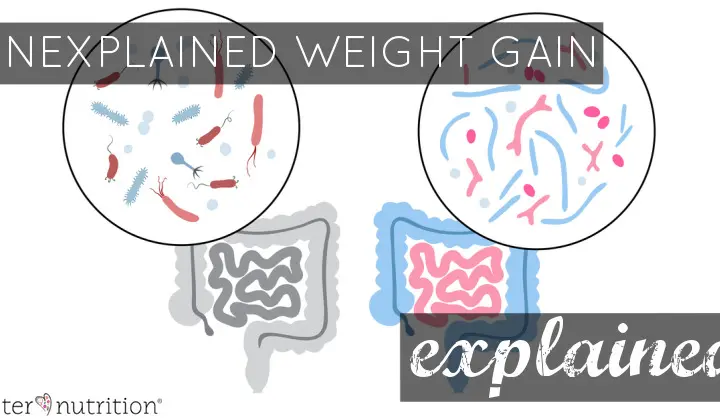 Unexplained Weight Gain Explained | Butter Nutrition