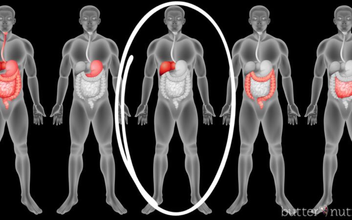 human body image highlighting the liver