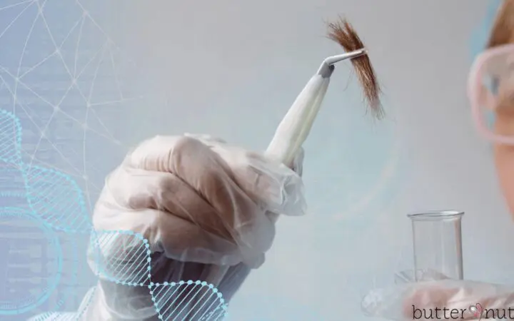 lab tech holding hair sample