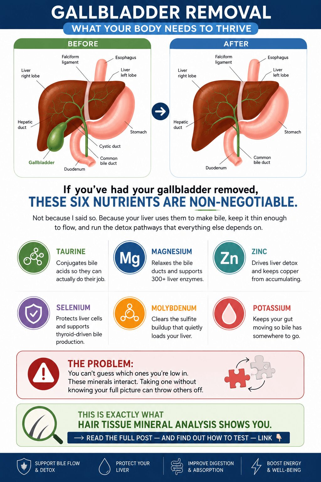 Infographic of nutrients needed after gallbladder removal